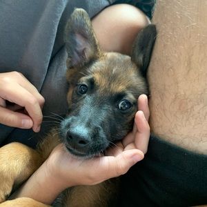 Meet your Posher, Leo